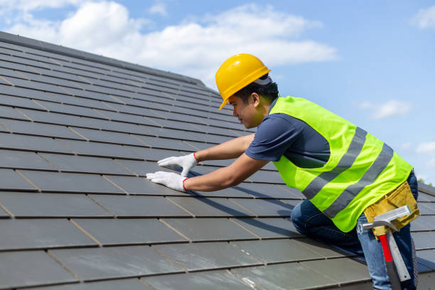 Best Roof Replacement Cost  in Dundee, MI