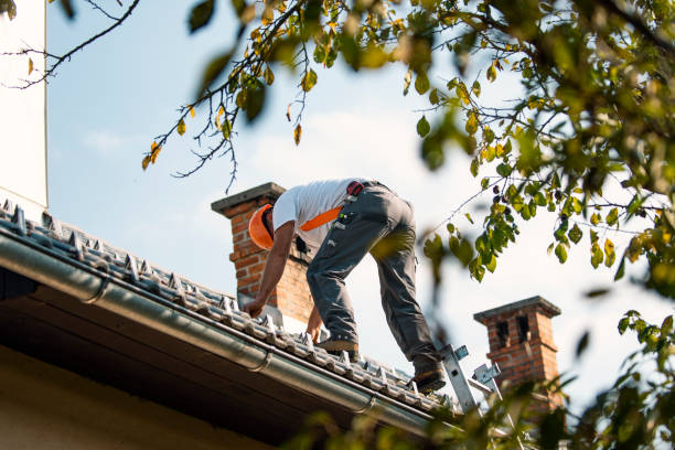 Best Roof Inspection Near Me  in Dundee, MI