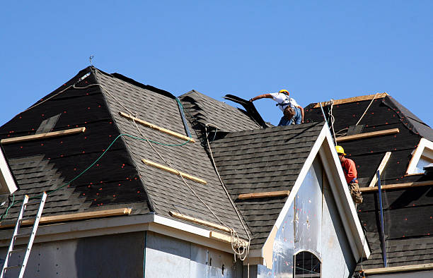 Best Roof Installation Near Me  in Dundee, MI
