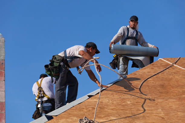 Best Shingle Roofing Installation  in Dundee, MI