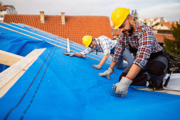 Best New Roof Installation  in Dundee, MI