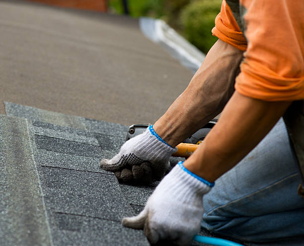 Quick and Trustworthy Emergency Roof Repair Services in Dundee, MI