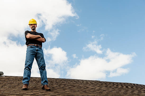 Best Roof Waterproofing Services  in Dundee, MI