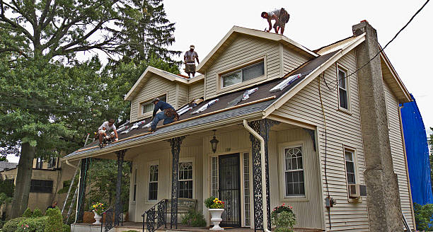 Best Roof Restoration Services  in Dundee, MI