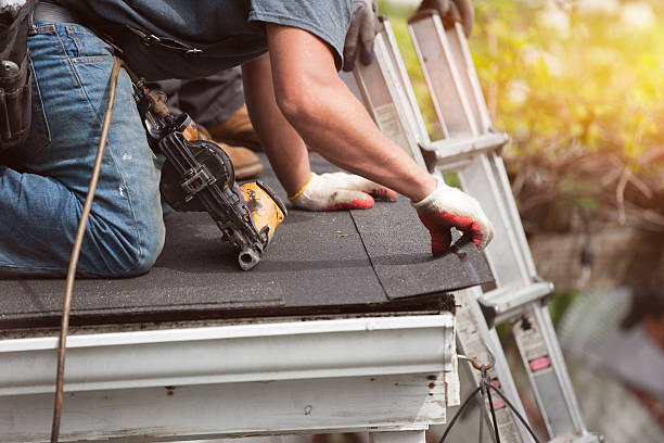 Best Roof Inspection Near Me  in Dundee, MI