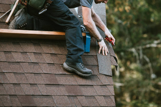 Best Residential Roofing Contractor  in Dundee, MI