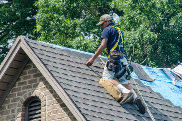 Professional Roofing Contractor in Dundee, MI